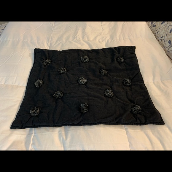 Pottery Barn Teen Crinkle Puff Shams - Picture 3 of 4